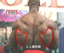 肌肉男必须锻炼的的十大部位【3】